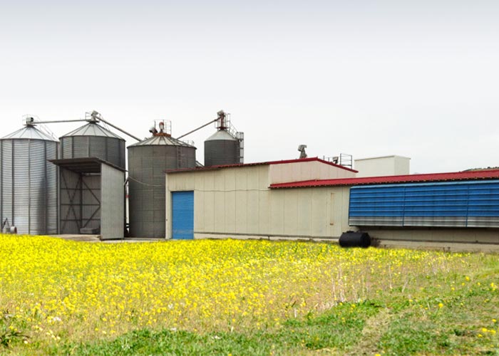 Εγκαταστάσεις Γεωργιάδης αυγοπαραγωγη