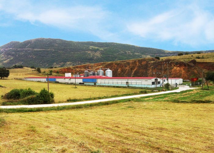 Εγκαταστάσεις Γεωργιάδης αυγοπαραγωγη